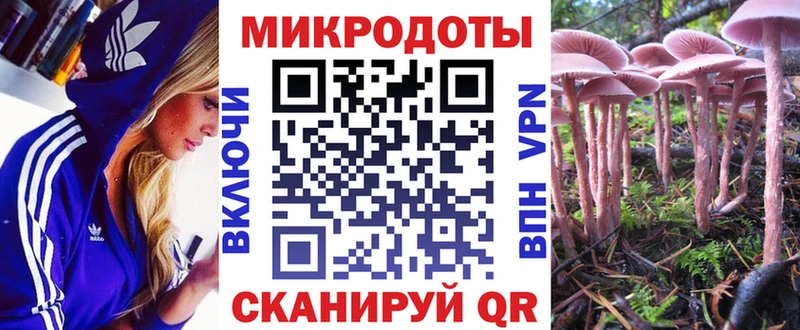 Галлюциногенные грибы Cubensis где купить Барабинск