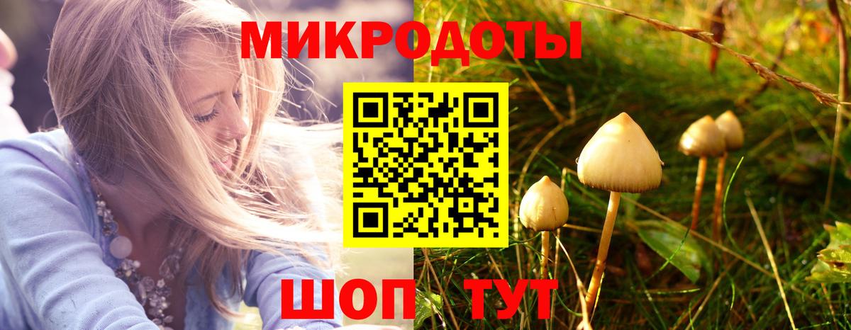 Барабинск  Галлюциногенные грибы мухоморы  Вход с VPN 